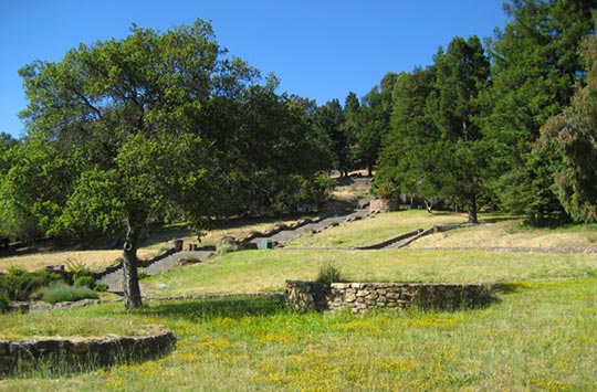 Friends of Joaquin Miller Park